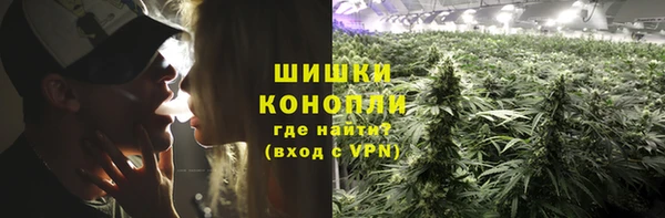 метадон Заводоуковск