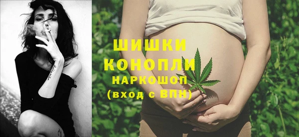 индика Зеленодольск