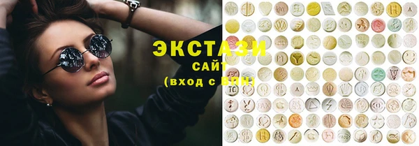 индика Зеленодольск