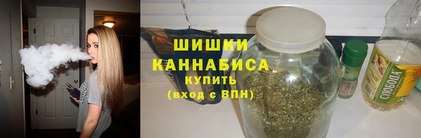 индика Зеленодольск