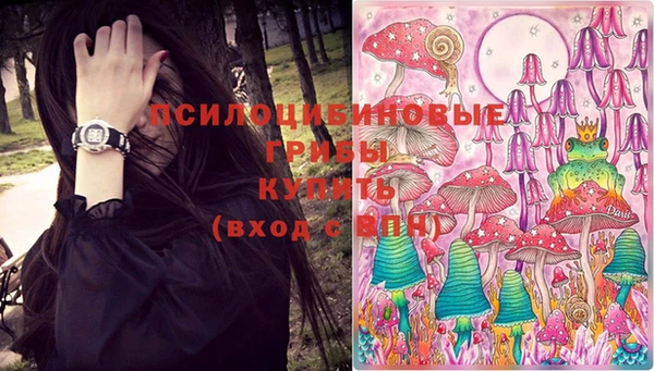 метадон Заводоуковск