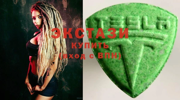 индика Зеленодольск