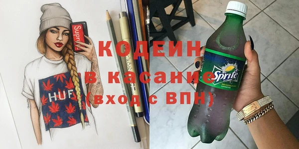 индика Зеленодольск